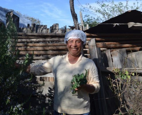 Rescatamos la herbolaria tradicional mexicana