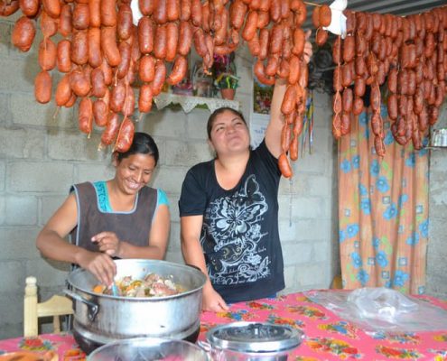 Busca Fundación Granjas Carroll autosuficiencia alimentaria familiar 
