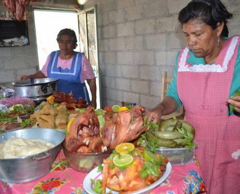 Busca Fundación Granjas Carroll autosuficiencia alimentaria familiar