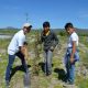 Desarrolla Voluntariado labores de reforestación